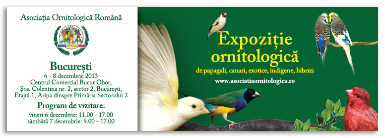 Banner_AOR2012.jpg
